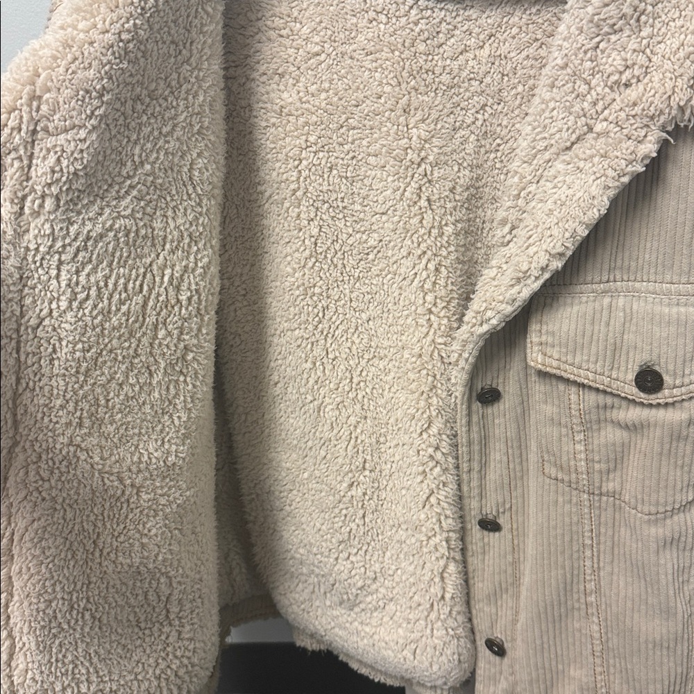 Corduroy jacket - Picture 5 of 7